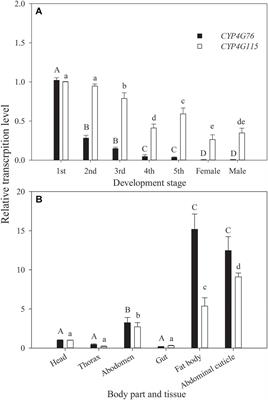 NlCYP4G76 and NlCYP4G115 Modulate Susceptibility to Desiccation and Insecticide Penetration Through Affecting Cuticular Hydrocarbon Biosynthesis in Nilaparvata lugens (Hemiptera: Delphacidae)